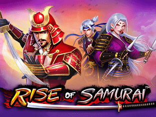 Rise Of Samurai game icon